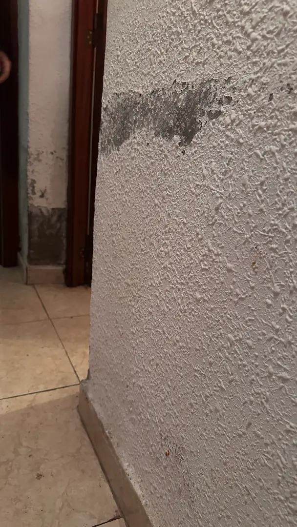 Pared de paso deteriorada antes de la reforma en Delicias